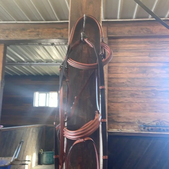 Horse Crank Noseband Flash Bridle - Picture 3 of 4